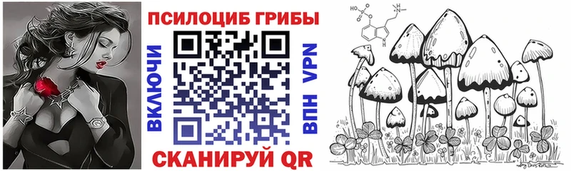 Галлюциногенные грибы Psilocybe  наркошоп  Дагестанские Огни 